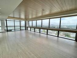 Hana (D10), Condominium #483035961